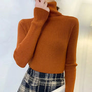 2025 Women Turtleneck Sweater Knitted Soft Pullovers Cashmere Jumpers Basic Solid Soft Sweaters Women Autumn Winter Casual Top