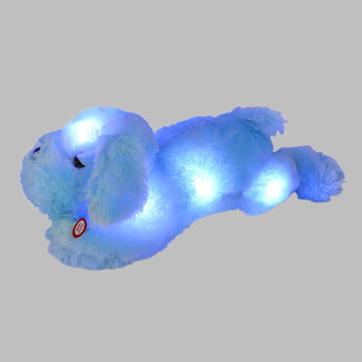 Glow in the Dark Blanket & Pillow Set-Gray & Blue